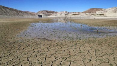 هواشناسی: میزان بارش‌ها در تهران بسیار نگران‌کننده است؛ فرصت چندانی برای تامین کسری آب باقی نمانده/ همه سدهای استان تهران و برخی سدهای البرز تقریباً خالی هستند و رودخانه‌ها خشک شده‌اند/ منابع آب زیرزمینی نیز با سرعت بالایی در حال تخریب‌ هستند