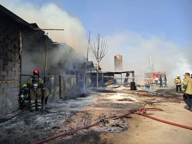 آتشنشانی تهران: آتشسوزی گسترده در یک گاراژ چوببری در بزرگراه آزادگان/ داخل گاراژ مملو از تختههای چوب و چندین بشکه حاوی مایعات قابل اشتعال بود که برخی از آنها بر اثر شدت حرارت منفجر و متلاشی شده بودند/ مهار حریق بدون تلفات جانی