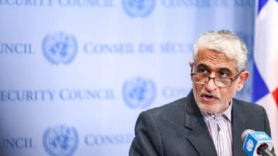 ایروانی: انگلستان جایگاه قربانی و متجاوز را وارونه کرده