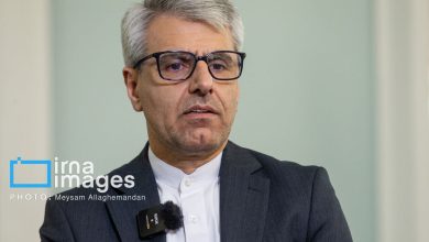 بقایی: هیچ مذاکرهای وجود ندارد / کسی به دیپلماسی با آمریکا اعتماد نمیکند / مسئولیت قالیباف بر اساس قانون اساسی مشخص است