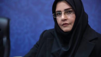 تشکر عضو شورای عالی کار از رضایی معاون وزیر کار بابت خروجی خوب جلسه شورای عالی کار