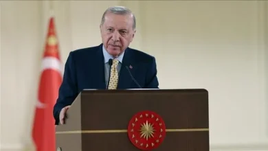 «رجب طیب اردوغان» رئیس‌جمهور ترکیه شامگاه چهارشنبه در سخنانی عنوان کرد: «در این روزهای سختی که منطقه ما در حال گذر است، ما هرگز امنیت مرزها و حریم هوایی خود را به شانس واگذار نمی‌کنیم.»