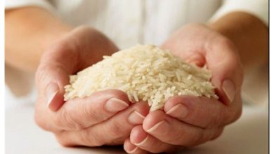 قیمت جدید برنج اعلام شد / برنج ایرانی ارزان