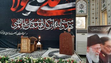 سردار علایی: شمخانی کنترل مقتدرانه و هوشمندانه بر تنگه هرمز را عملیاتی کرد