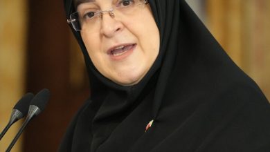 دفاع سخنگوی دولت از اینترنت پرو/ پارسال دو جنگ و یک توطئه بزرگ را پشت سر گذاشتیم؛ درباره محدودیت اینترنت باید دغدغه‌های مدافعان امنیت را در نظر داشت