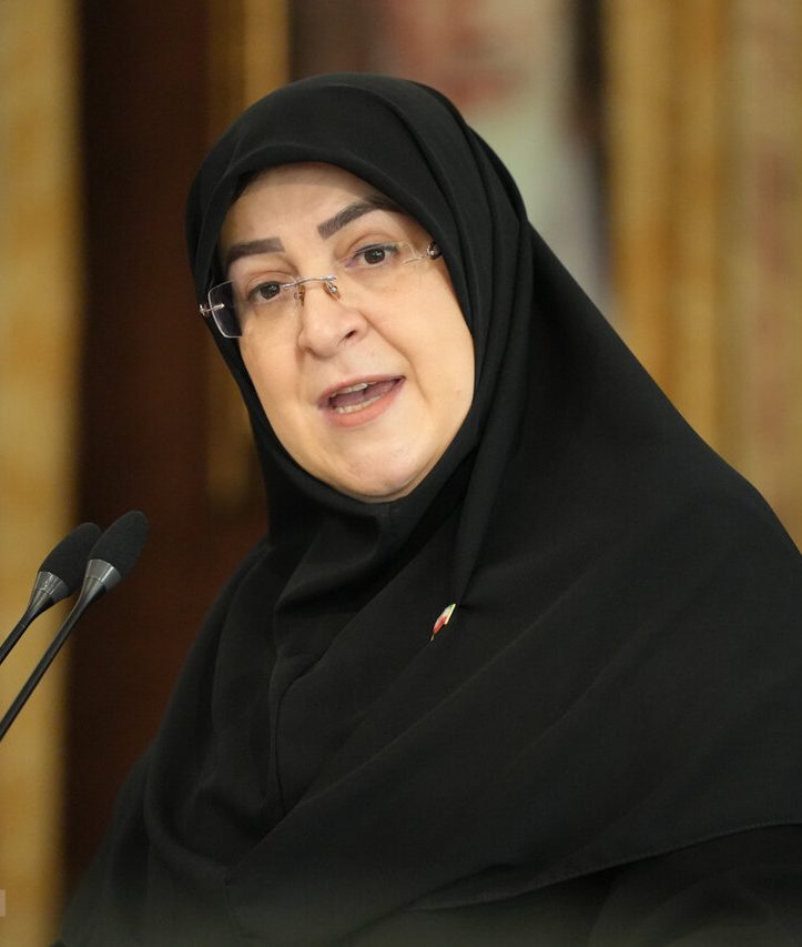 دفاع سخنگوی دولت از اینترنت پرو/ پارسال دو جنگ و یک توطئه بزرگ را پشت سر گذاشتیم؛ درباره محدودیت اینترنت باید دغدغه‌های مدافعان امنیت را در نظر داشت