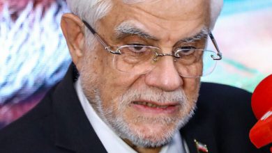 مخالفت دولت با اینترنت طبقاتی/ عارف: دسترسی عادلانه و عمومی به اینترنت حق همه مردم است/ اینترنت یک حق عمومی برای همه شهروندان است