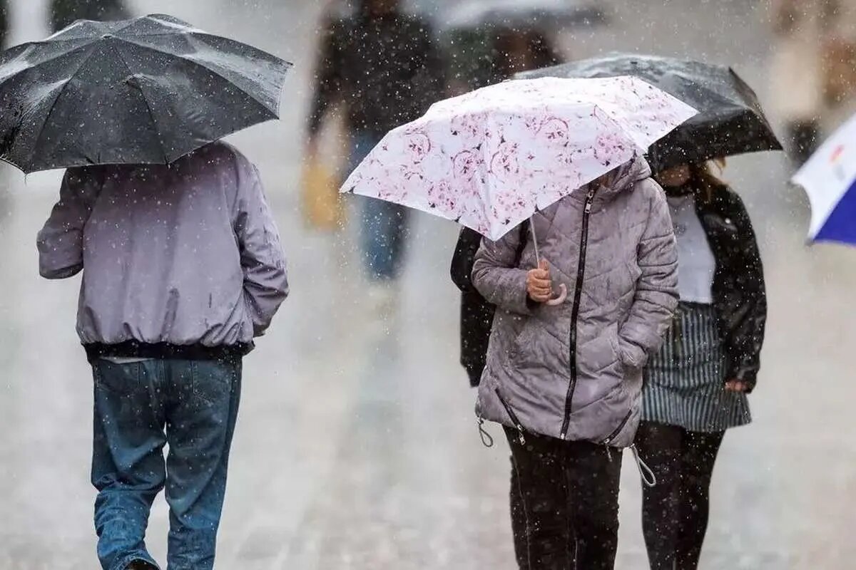 هواشناسی استان تهران اطلاعیه داد