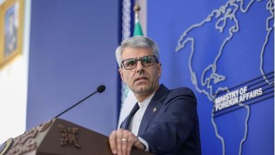 بقائی درباره درخواست اسحاق دار مطرح کرد: آمادگی ایران برای دفاع در برابر هرگونه شرارت و تهدید