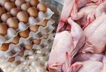قیمت جدید گوشت، تخممرغ و مرغ رسما اعلام شد/ جزییات قیمت