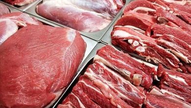 دام زنده ارزان شد/ پوریان: بیشترین واردات گوشت و دام از این کشورها اتفاق می‌افتد
