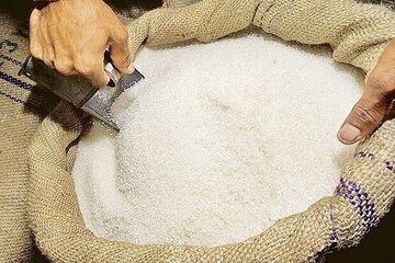 قیمت شکر از این تاریخ تغییر می‌کند/ جزییات قیمت شکر فله و بسته بندی در بازار