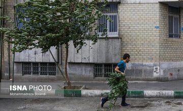 سرعت وزش باد در تهران اعلام شد