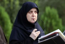 سخنگوی دولت: تنظیم بازار مرغ و تخم مرغ در دستور است/صنایع با اولویتبندی، بازسازی میشوند