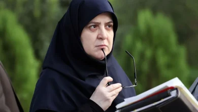 سخنگوی دولت: تنظیم بازار مرغ و تخم‌ مرغ در دستور است/صنایع با اولویت‌بندی، بازسازی می‌شوند