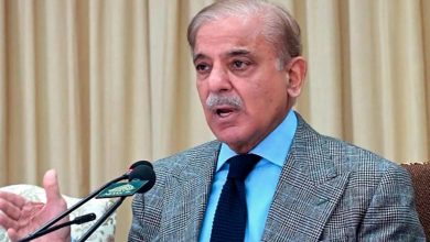 امیدواری شهباز شریف پس از دیدار با عراقچی