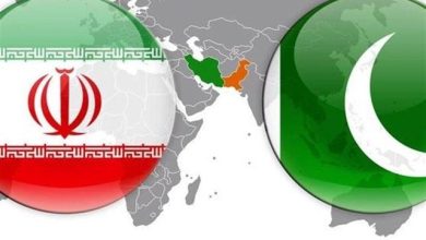 دیدار 90 دقیقه‌ای وزیر کشور پاکستان با پزشکیان
