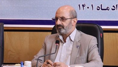 سخنان عجیب عضو شورای عالی فضای مجازی؛ تشبیه اینستاگرام به انواع هواپیماهای جنگنده آمریکایی!