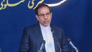 آخرین وضعیت رسیدگی به پرونده تراستی‌ها از زبان سخنگوی قوه قضاییه