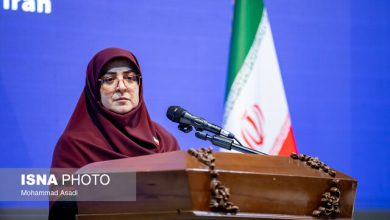 سخنگوی دولت: دولت برخورداری از اینترنت را حق همه میداند/وضعیت فعلی موقتی است