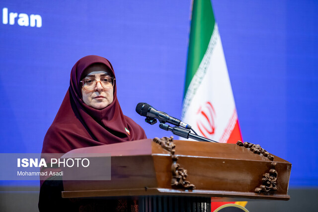سخنگوی دولت: دولت برخورداری از اینترنت را حق همه میداند/وضعیت فعلی موقتی است