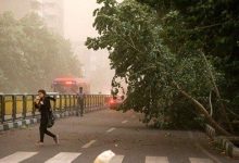 هواشناسی استان تهران هشدار داد
