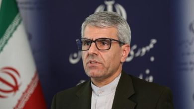 بقایی: مدیرکل آژانس انرژی اتمی، دست از سیاسی کاری بردارد