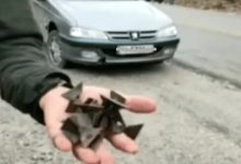 جزئیات حادثه ریختن میخ سه پر در اتوبان تهران_کرج