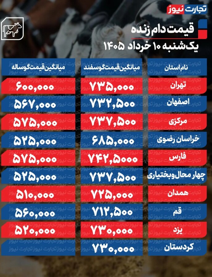 قیمت جدید دام زنده امروز یکشنبه ۱۰ خرداد ۱۴۰۵/ قیمت گوسفند و گوساله چه تغییری کرد؟ + جدول