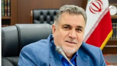 هشدار عبائی حسنی به دولتی سازی تامین اجتماعی