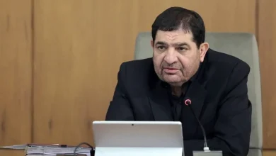 مخبر: فعالان سکوهای اقتصاد دیجیتال، کنسرسیومی عمل کنند