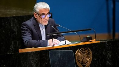ایروانی: جامعه بینالمللی باید رویکردی عملمحورتر در قبال مساله فلسطین اتخاذ کند