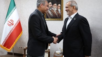 جزئیات دیدار رئیس جمهور با وزیر کشور پاکستان؛ پزشکیان روند رایزنیهای دیپلماتیک مرتبط با مذاکرات ایران و آمریکا را مورد بررسی و ارزیابی قرار داد / قدردانی از تلاشهای دولت پاکستان در حمایت از ثبات و تعاملات سازنده منطقهای