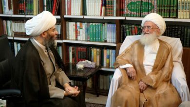 آیت‌الله نوری همدانی: در اجتماعات مردمی تنها باید صدای وحدت شنیده شود