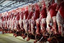 قیمت جدید دام زنده اعلام شد/ پوریان: منتظر این تغییر مهم قیمتی در بازار گوشت باشید