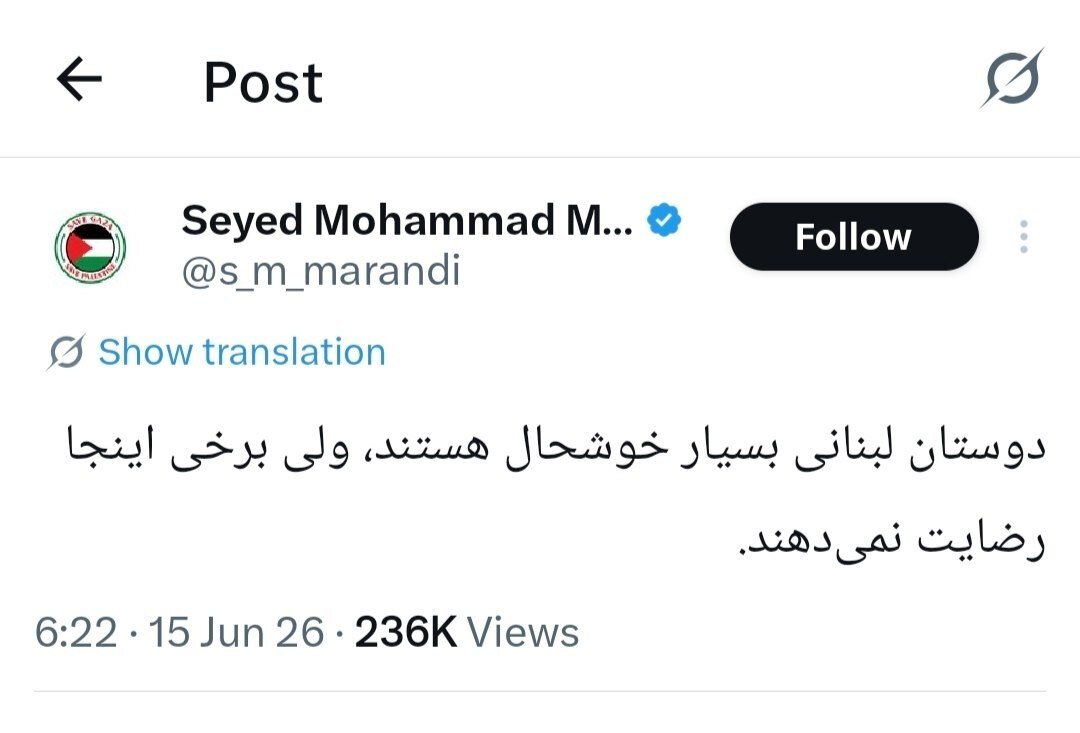 توئیت معنادار مرندی درباره توافق با آمریکا/ دوستان لبنانی بسیار خوشحال هستند اما برخی در داخل...
