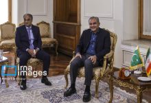 فوری/ وزیر کشور پاکستان عازم تهران شد