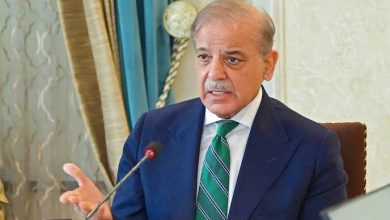 تاکید شهباز شریف بر مسیر صلح و دیپلماسی در غرب‌آسیا