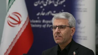 سخنگوی وزارت امور خارجه: ادعای بسته بودن تنگه هرمز بی‌اساس است