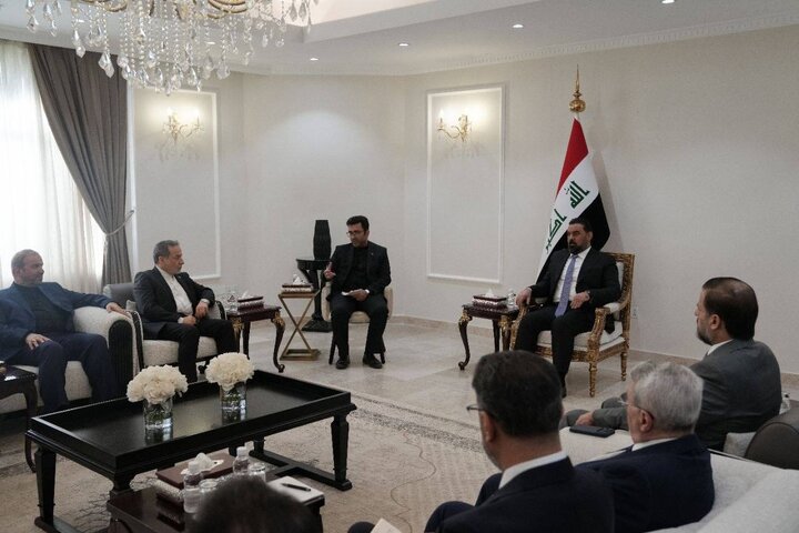 دیدار عراقچی با رئیس مجلس عراق