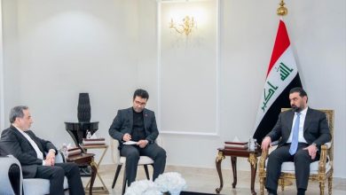 تاکید عراقچی بر حمایت ایران از عراق