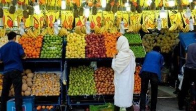 قیمت میوه در میادین میوه و تره‌بار اعلام شد