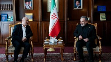عراقچی در دیدار با درویش؛ حمایت قاطع ایران از تشکیل دولت مستقل فلسطینی به پایتختی قدس شریف + عکس