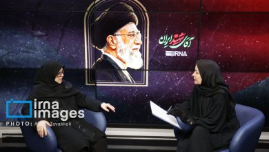 سخنگوی دولت: حاضریم برای عزت و مردم ایران، نه‌فقط فحاشی و سنگ، بلکه «گلوله» هم بخوریم/ امیدواری صرف کافی نیست/ امید باید از جنس عملکرد باشد
