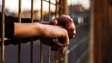 سفارت ایران در ابوظبی: ۵۵ ماهیگیر ایرانی بازداشت شده در امارات، به کشور بازمیگردند