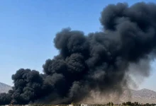 جزئیات حمله به چهار نقطه بوشهر از زبان فرماندار