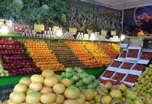 گزارش میدانی از بازار میوه و تره‌بار/ خریداران نگران قیمت، فروشندگان نگران نخریدن مردم!