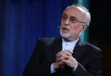 علی اکبر صالحی: اینکه چین امروز یکی از بهره‌مندان اصلی نزاع ایران و امریکا در منطقه است، درست است ولی اگر نتیجه نزاع خدای ناکرده عمدتا به سود آمریکا تمام شود، دیگر آن فرضیه صحیح نخواهد بود