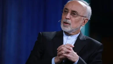 علی اکبر صالحی: اینکه چین امروز یکی از بهرهمندان اصلی نزاع ایران و امریکا در منطقه است، درست است ولی اگر نتیجه نزاع خدای ناکرده عمدتا به سود آمریکا تمام شود، دیگر آن فرضیه صحیح نخواهد بود