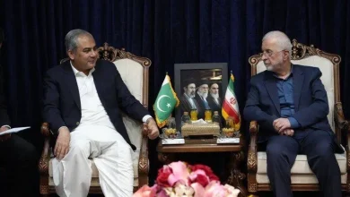 دیدار وزرای کشور ایران و پاکستان/ محسن نقوی: نگاه ما به این سفر مهم شما به اسلامآباد، به عنوان یک خبر خوش برای منطقه است/ تهران و اسلامآباد در کنار یکدیگر برای برقراری صلح در منطقه تلاش میکنند
